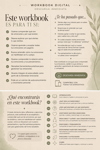 Workbook  Emociones